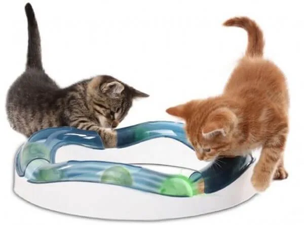 Kattenspeeltje